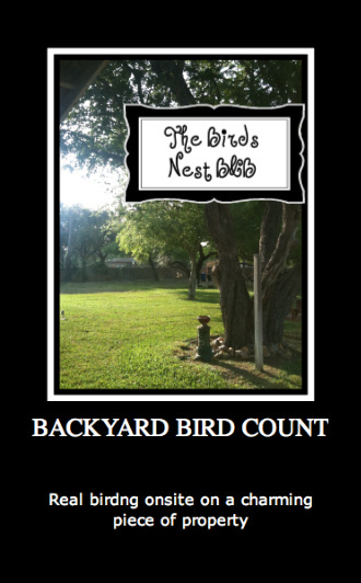 Rhonda_backyard_bird_count